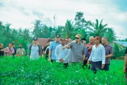 Sosialisasi dengan Poktan Lubuk Cuik, Bupati Batu Bara Ingin Petani Lebih Sejahtera