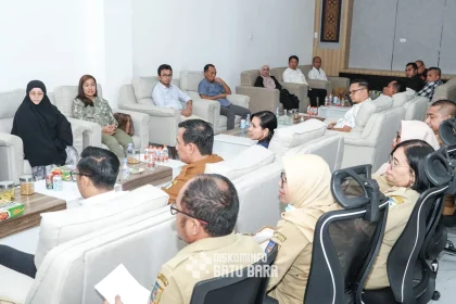 Dorong Peningkatan Pelayanan Kesehatan, Bupati Batu Bara Terima Audiensi RSUD